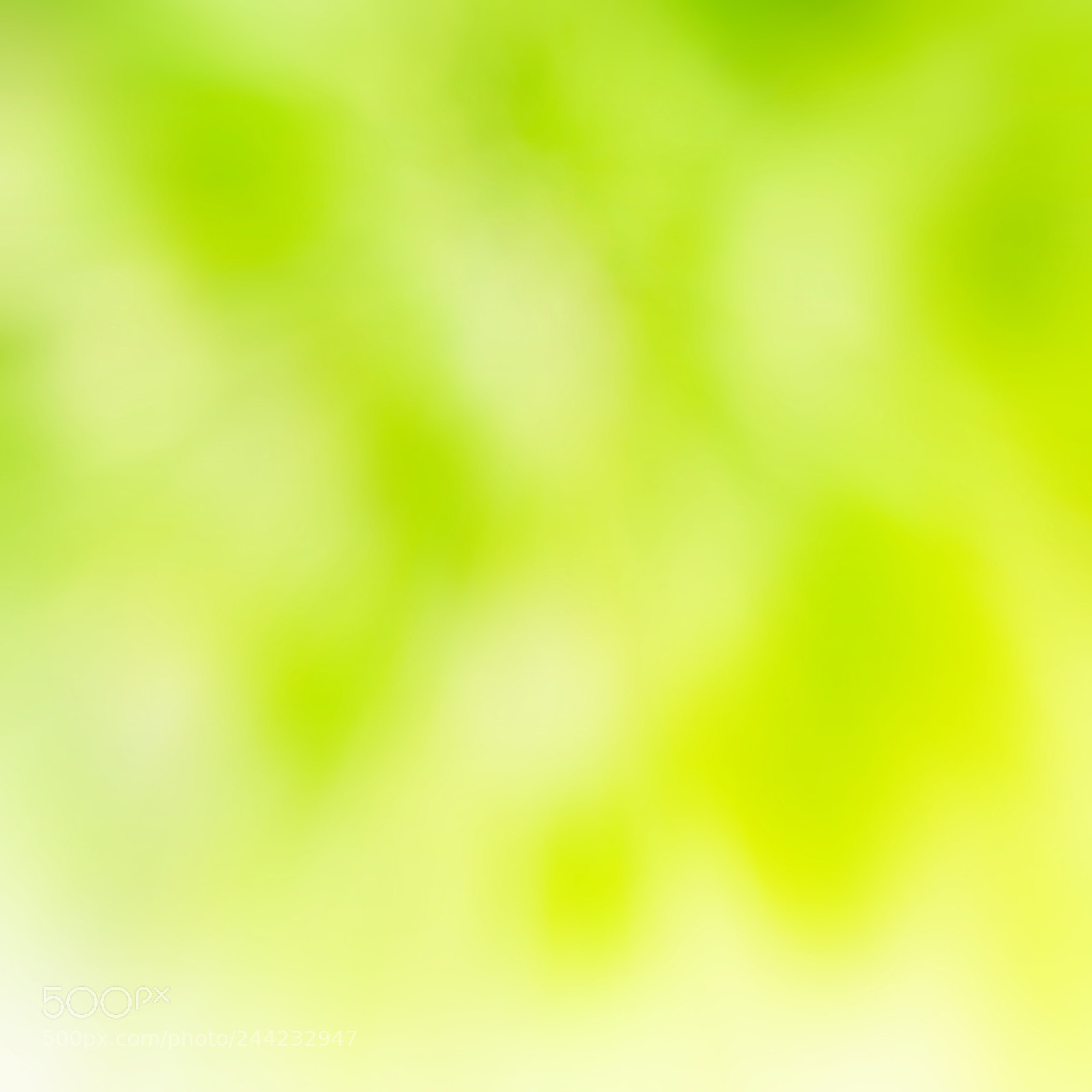 Nikon D800 sample photo. Green and yellow abstarct photography
