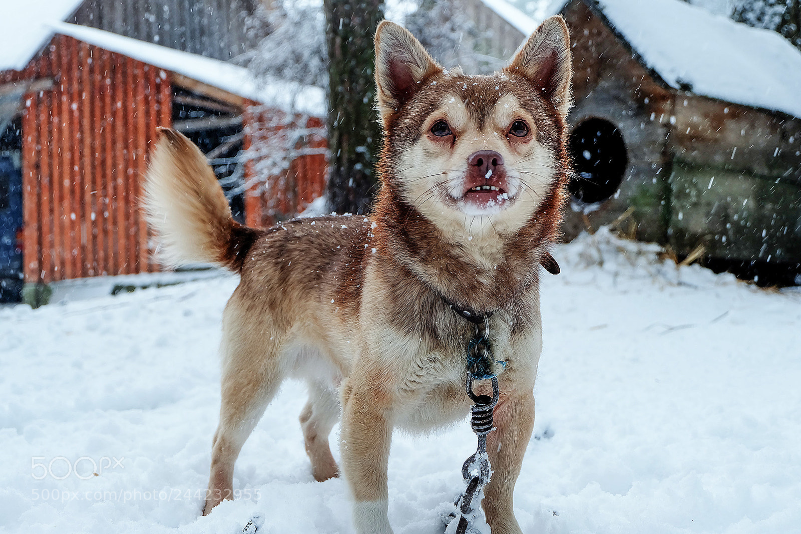 Fujifilm X-A1 sample photo. The guard photography