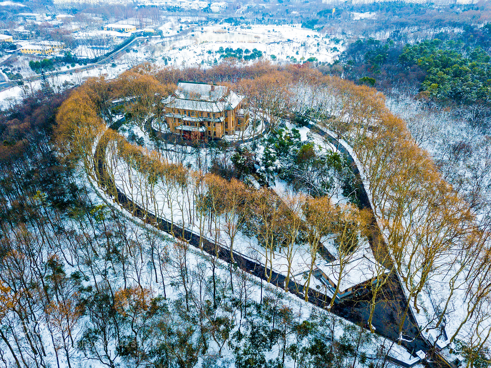 DJI FC220 sample photo. Mrs. chiang's tears photography