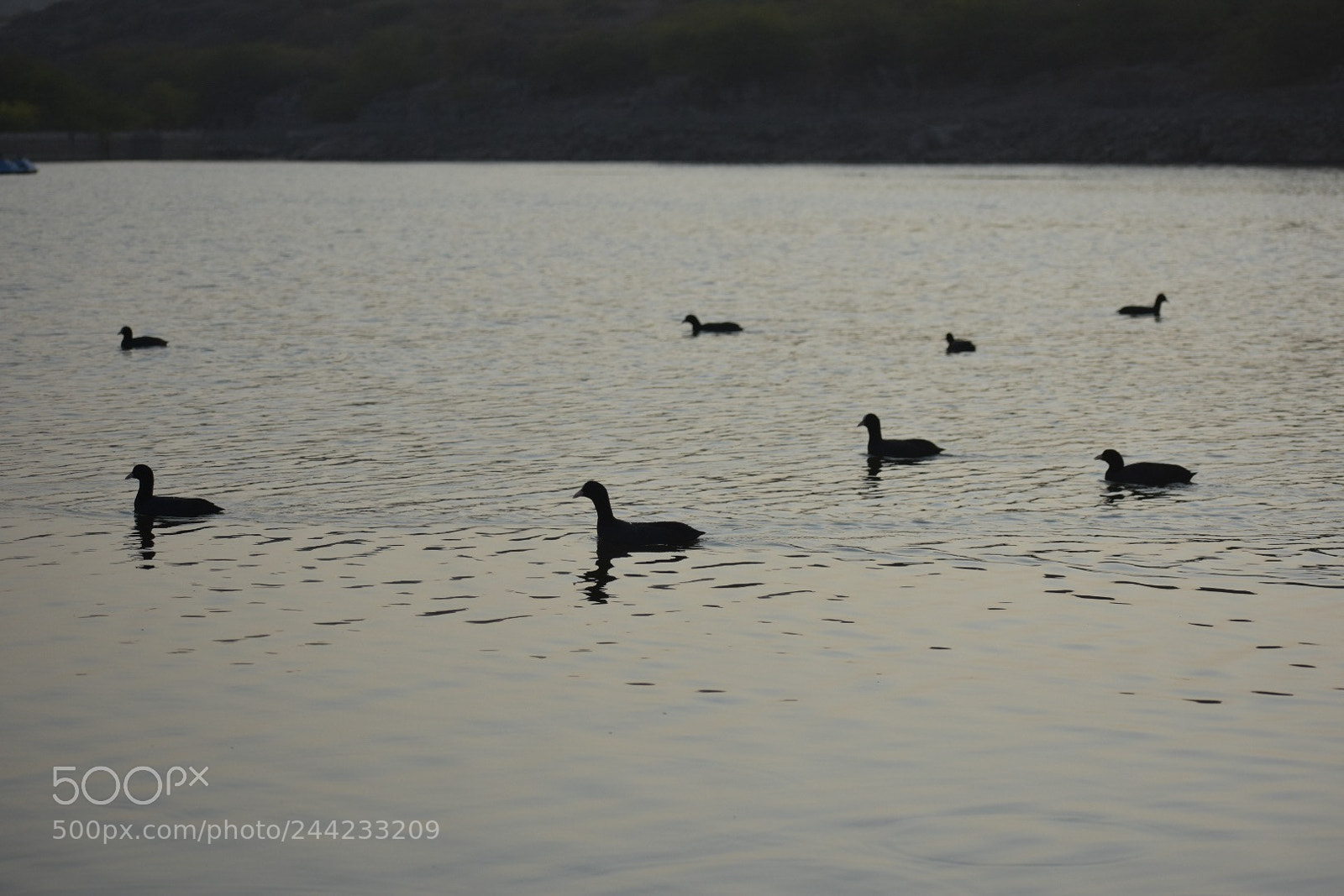 Nikon D3400 sample photo. Smooth sailing photography