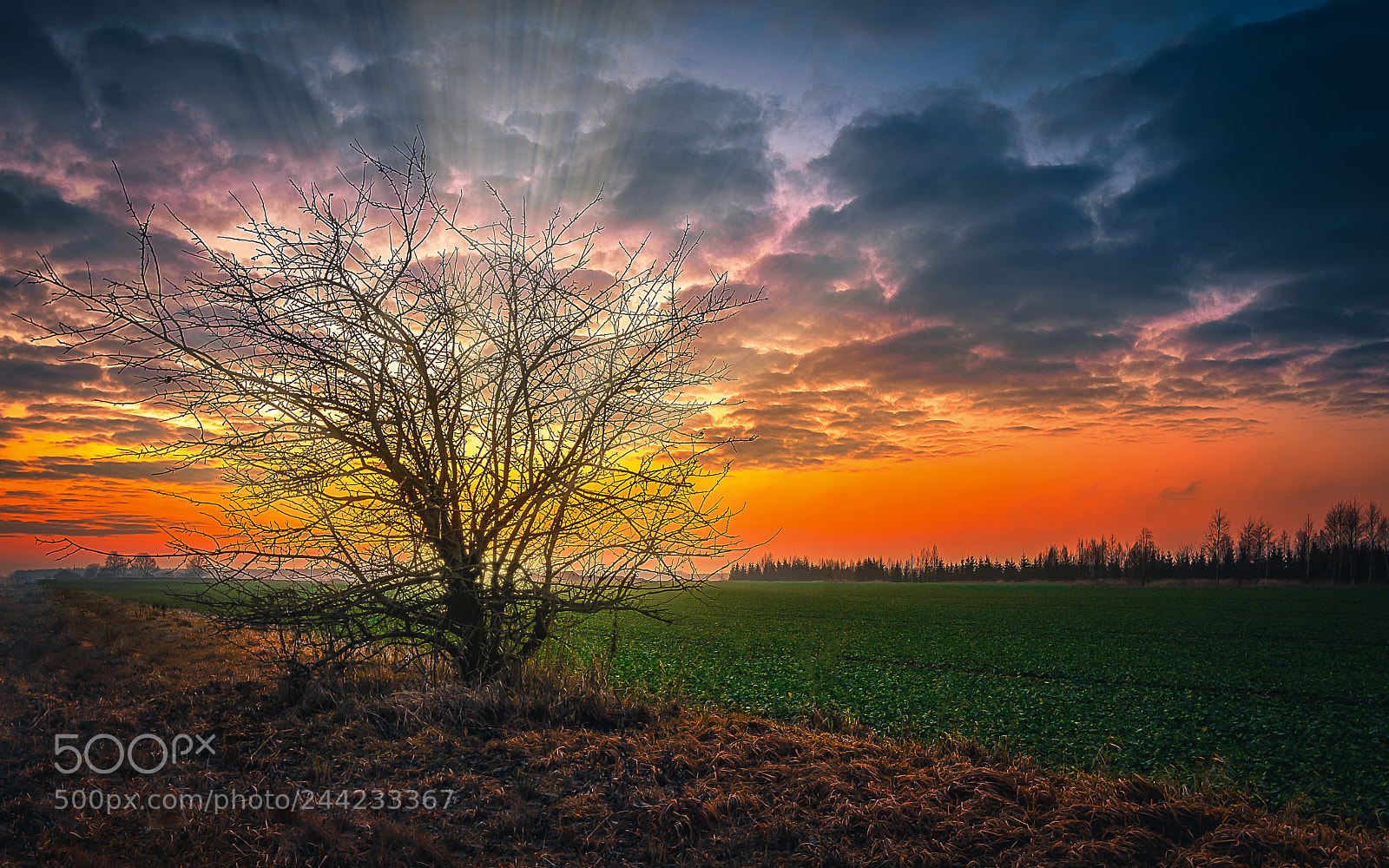 Nikon D610 sample photo. Sunset photography
