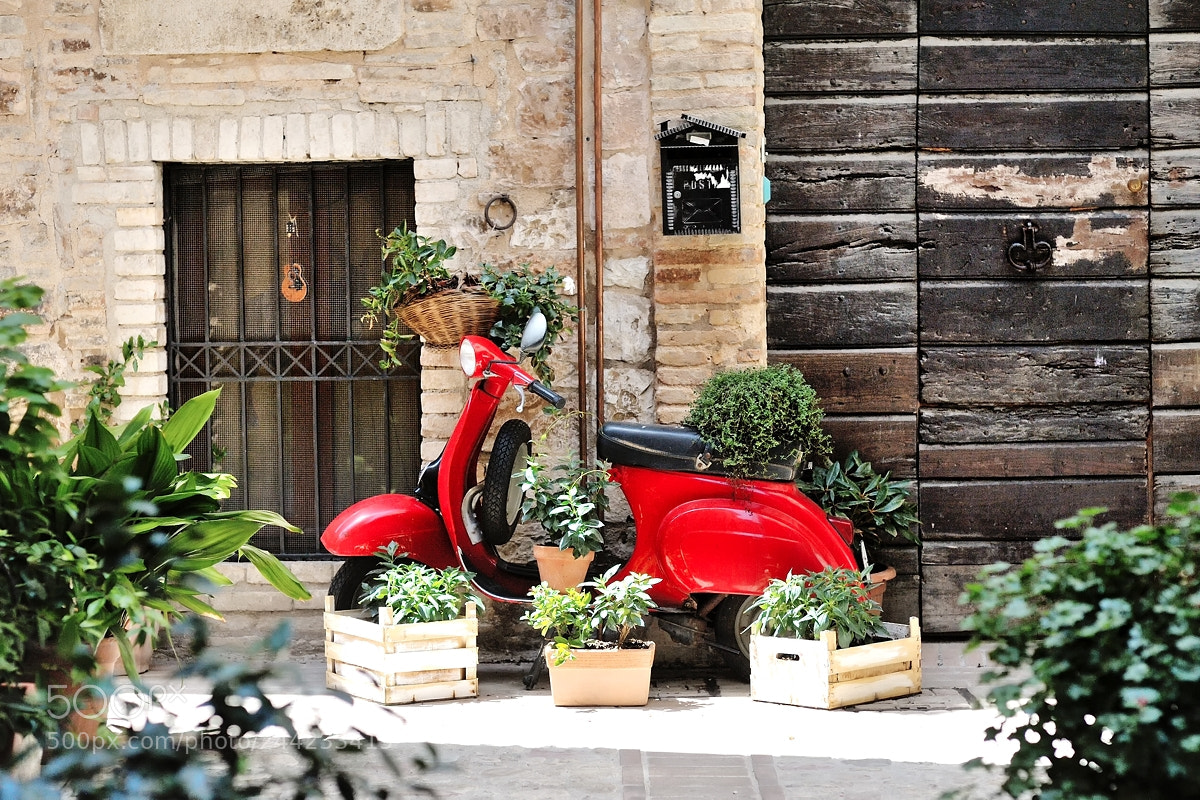 Nikon D700 sample photo. Beautiful street in the photography