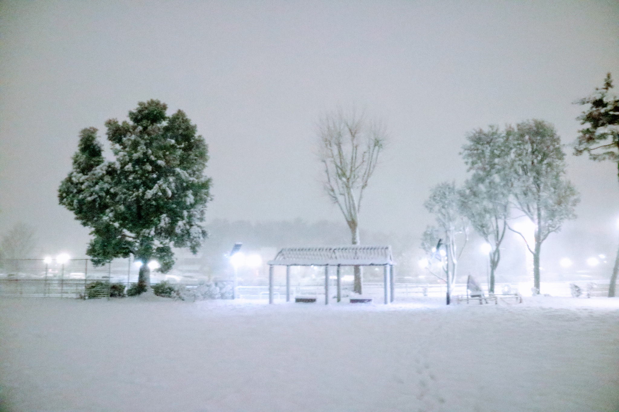 Canon EOS M3 sample photo. Heavy snow photography