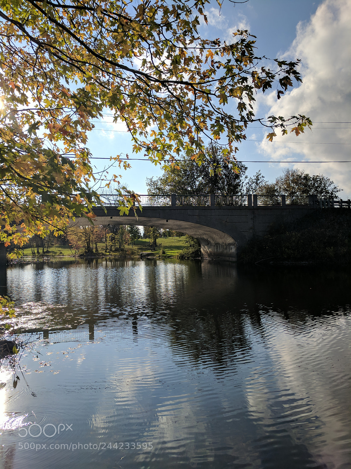 Google Pixel XL sample photo. Untitled photography