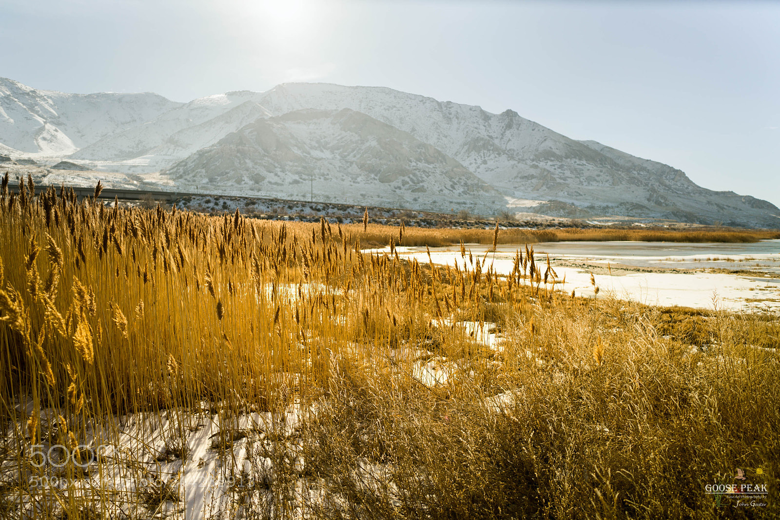 Sony a7R II sample photo. Lake mud and grass photography