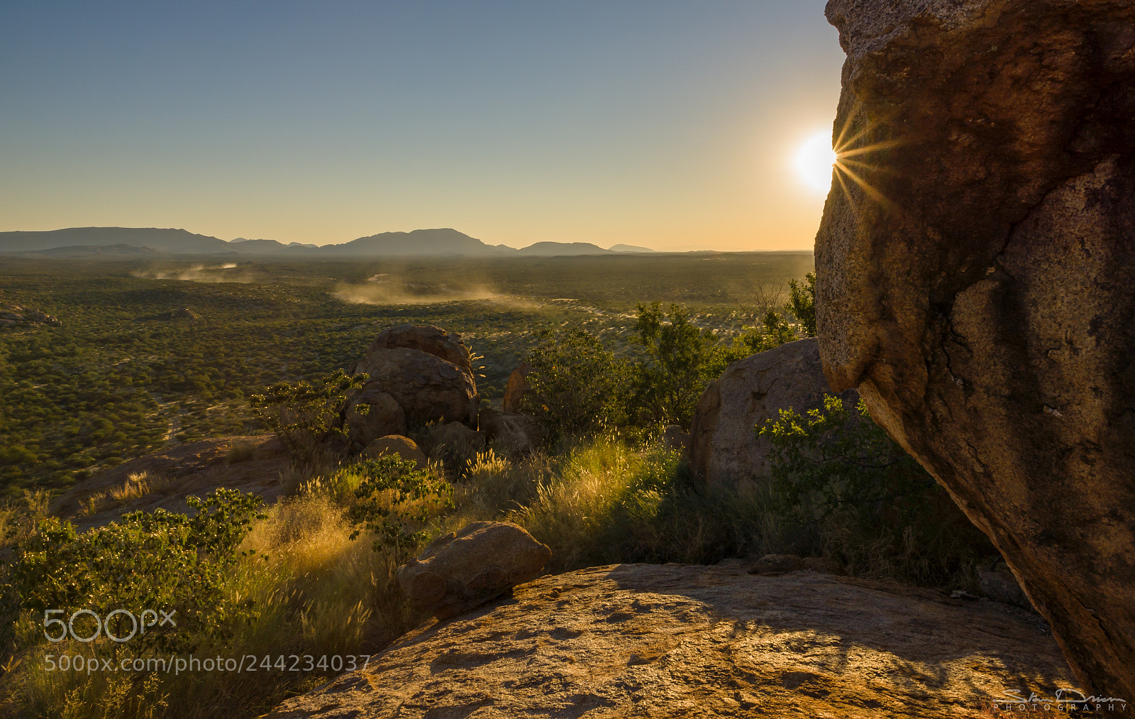 Sony SLT-A77 sample photo. Desert star photography