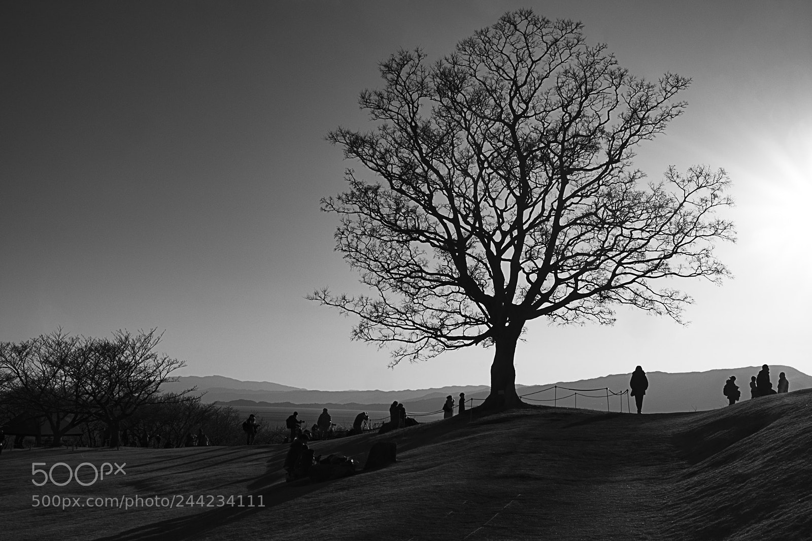Fujifilm X-Pro2 sample photo. On the hill photography