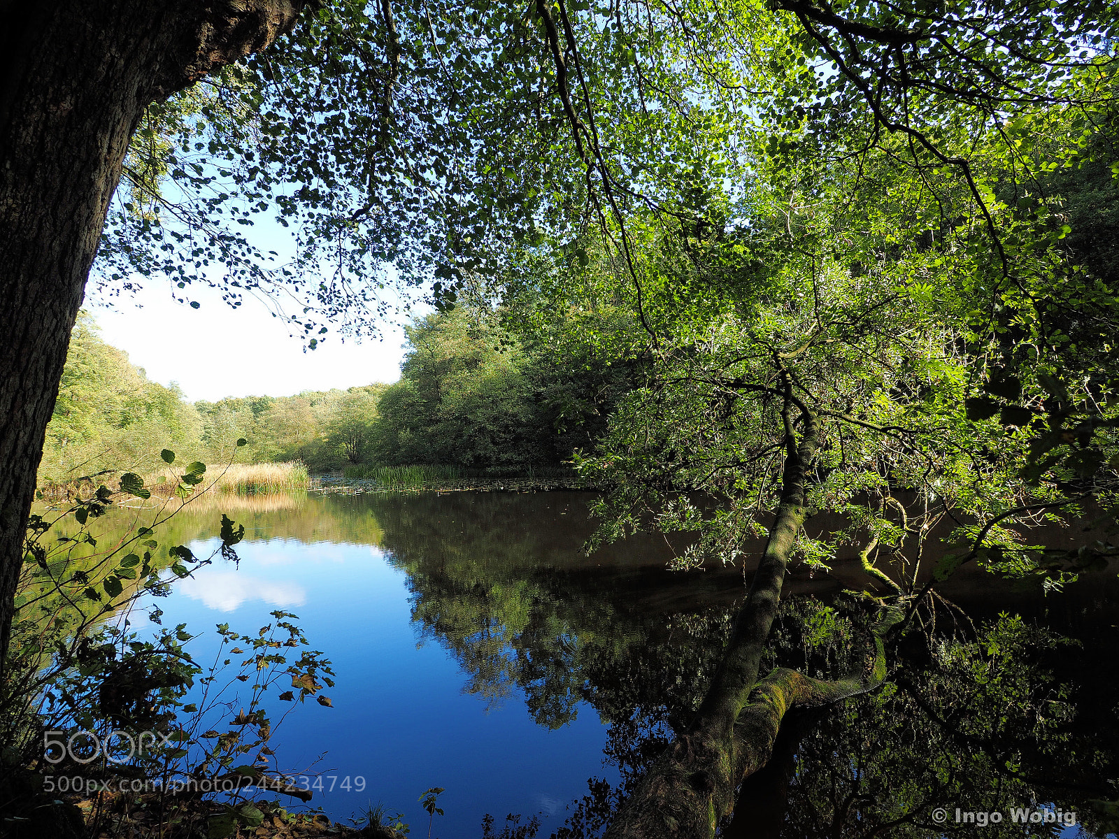 Olympus OM-D E-M10 II sample photo. Little lake in city photography