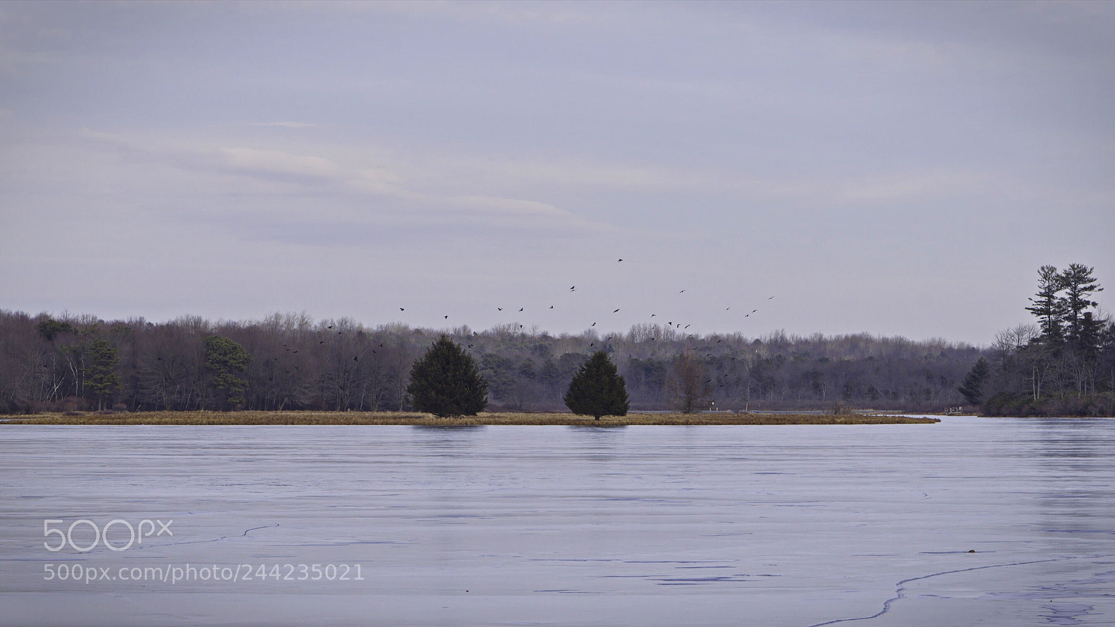 Nikon D5500 sample photo. Frozen pond photography