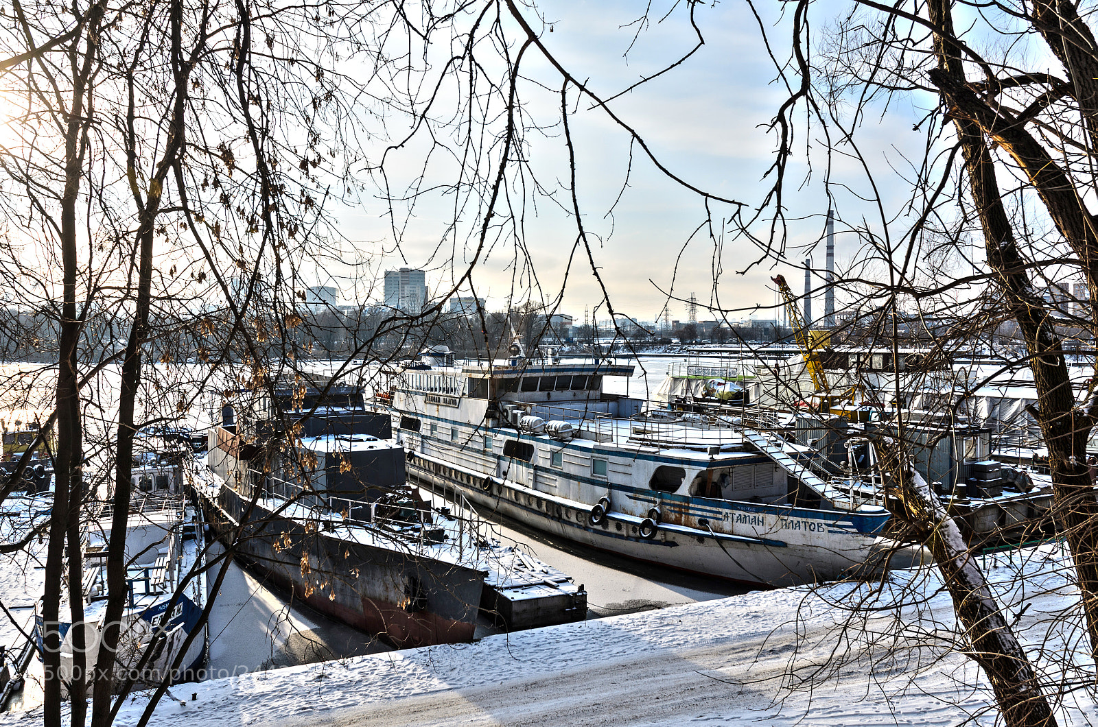 Nikon D5100 sample photo. 309 photography