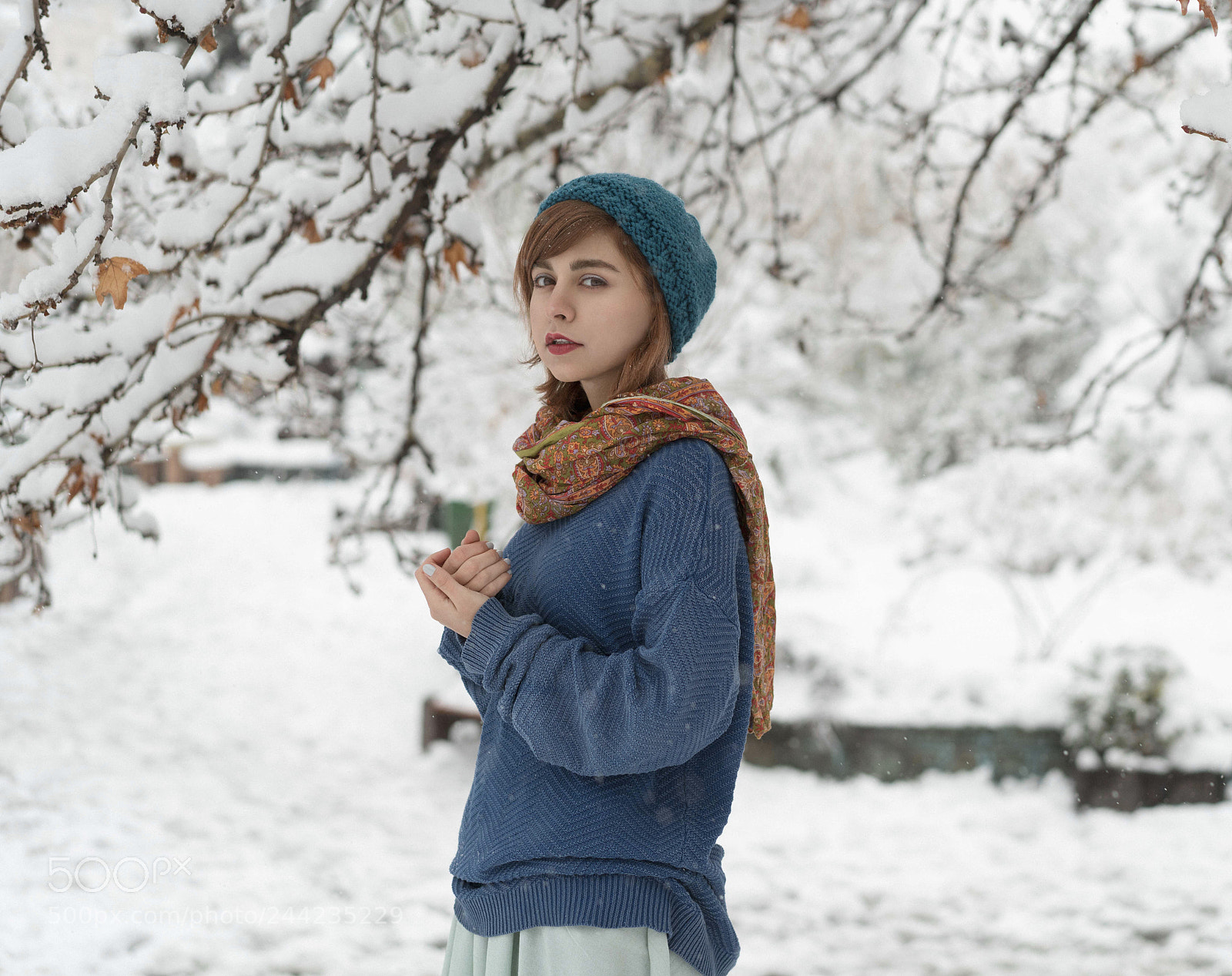 Sony a7R II sample photo. ❄️ photography