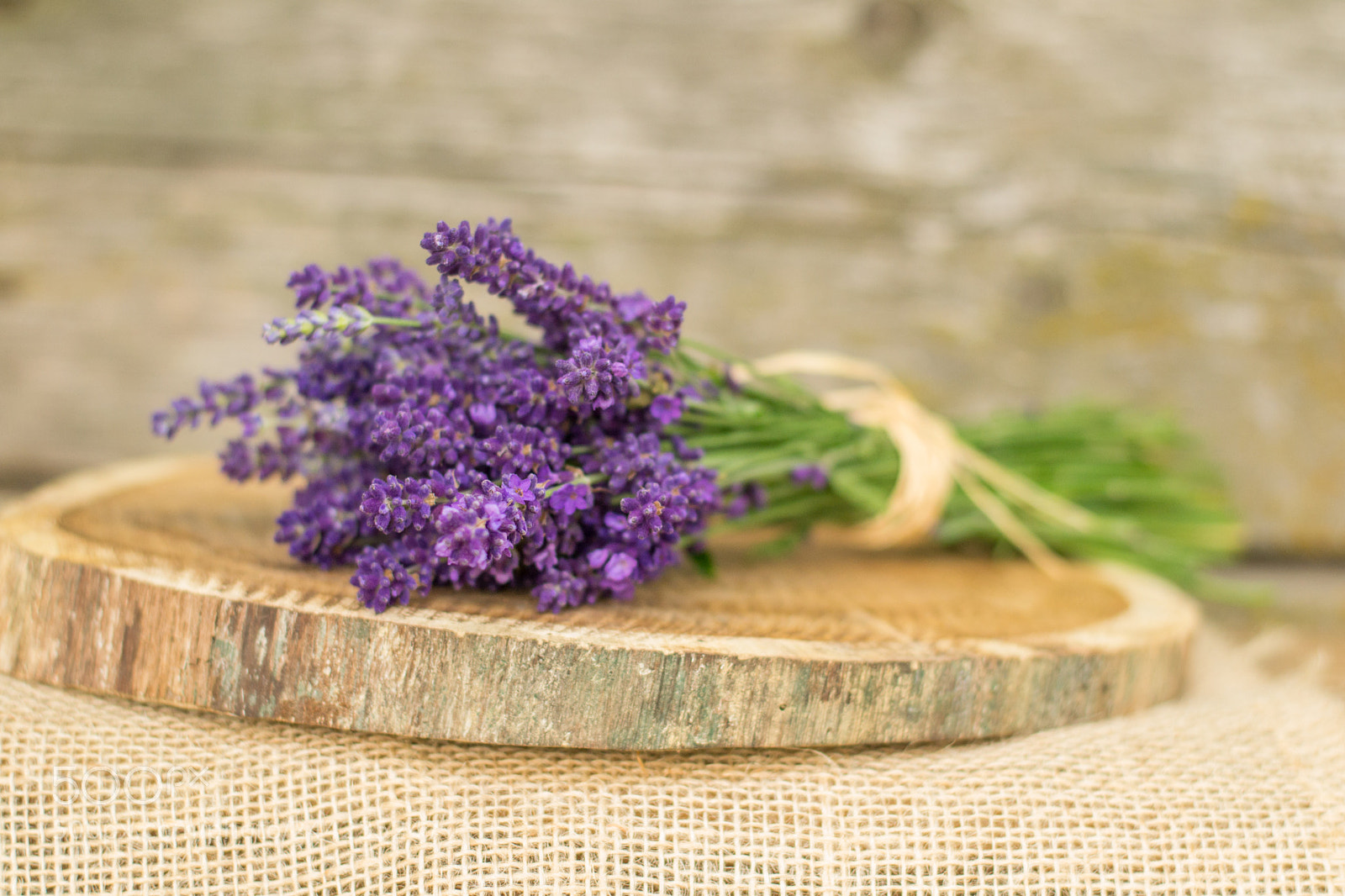 Nikon D3100 sample photo. Lavender photography