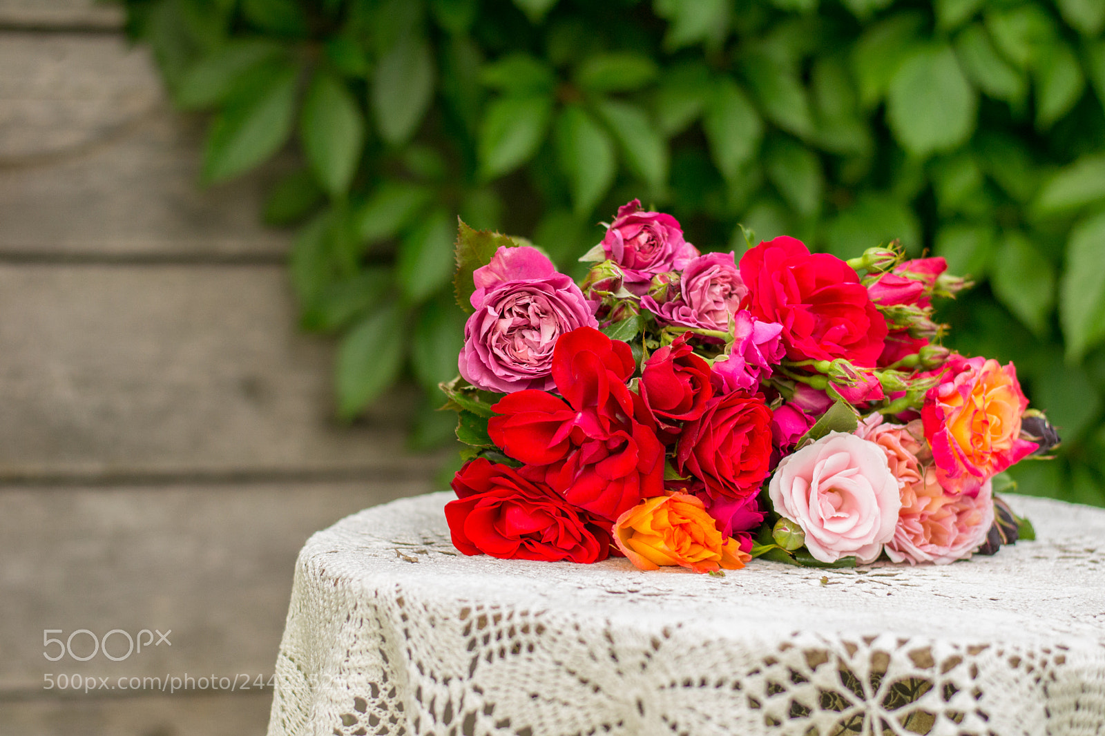 Nikon D3100 sample photo. Roses on the table photography