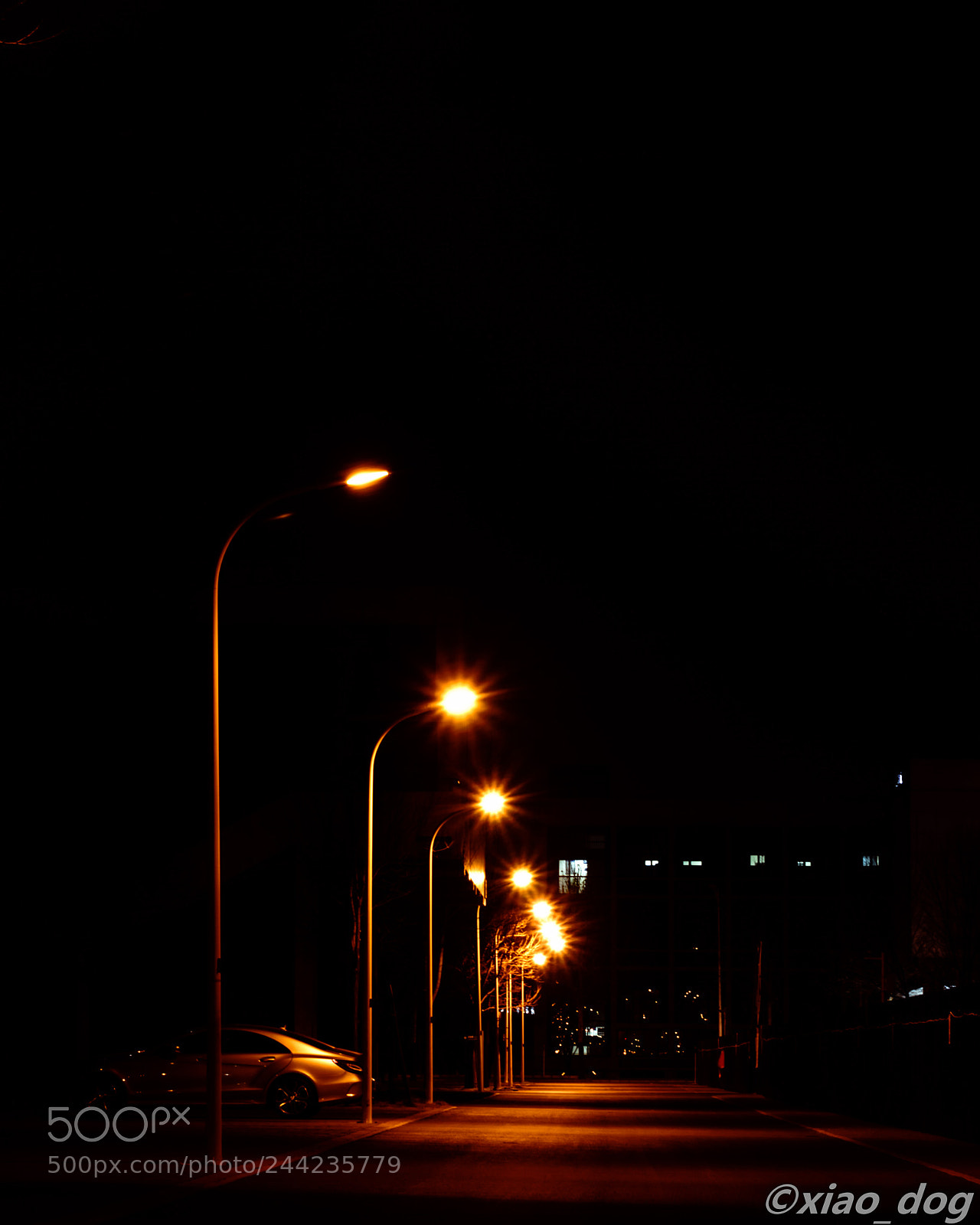 Sony a7 sample photo. Untitled photography