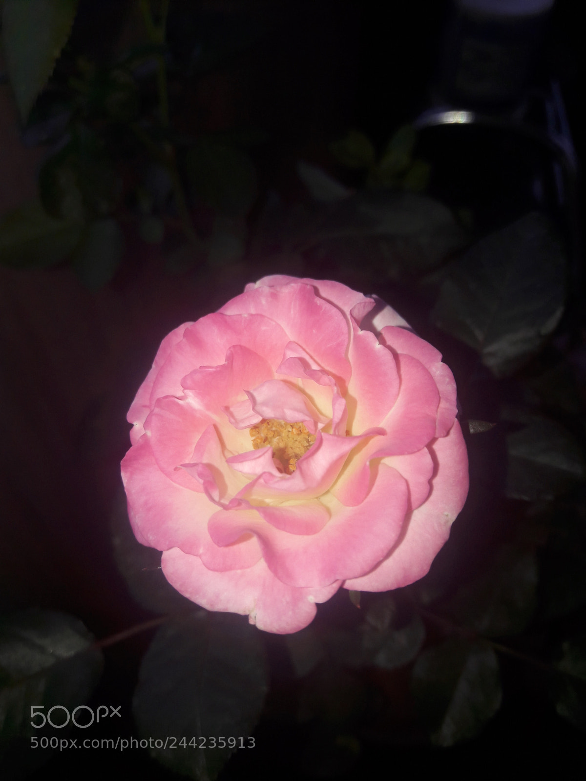 Samsung Galaxy A5(2016) sample photo. Untitled photography