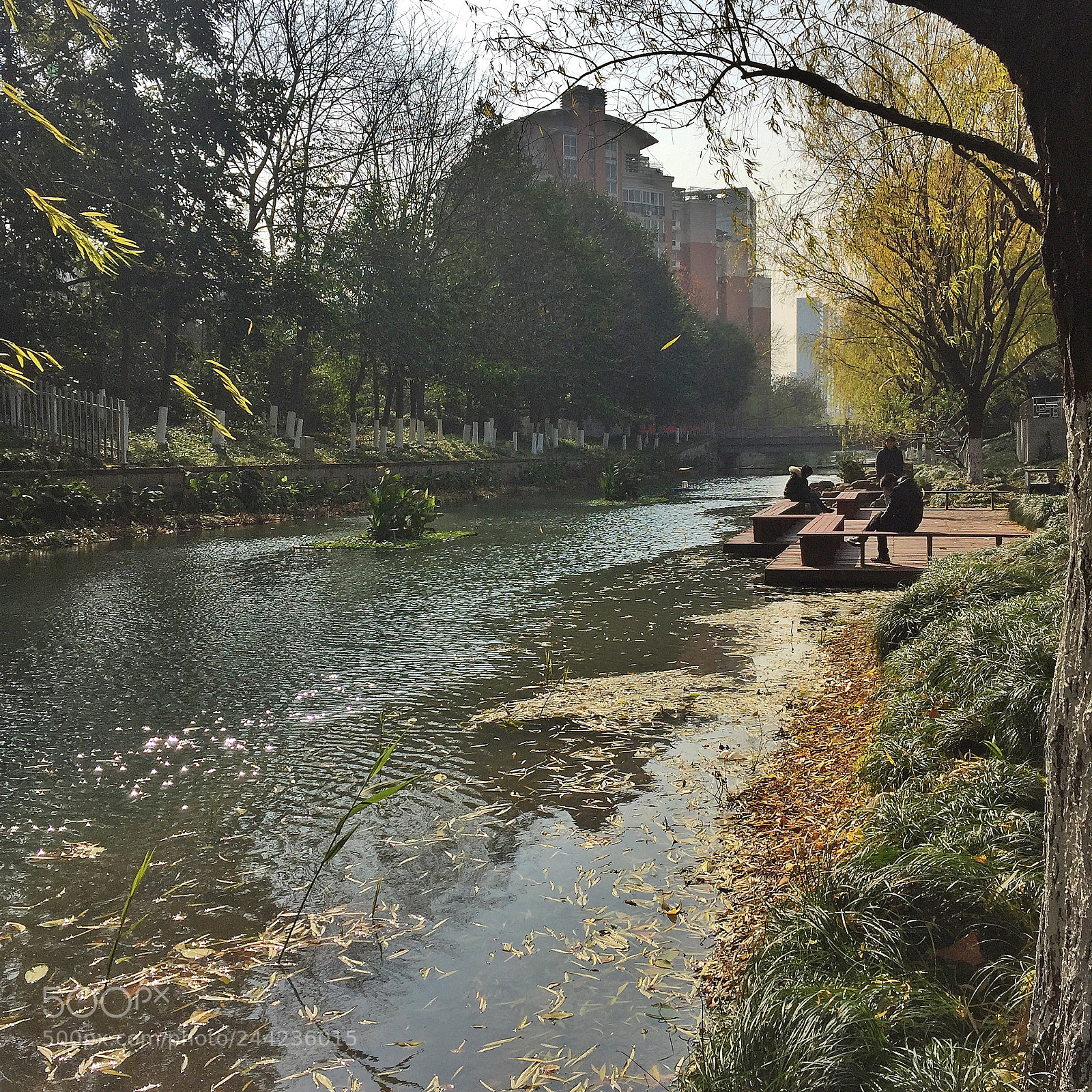 Apple iPhone 6 Plus sample photo. Untitled photography