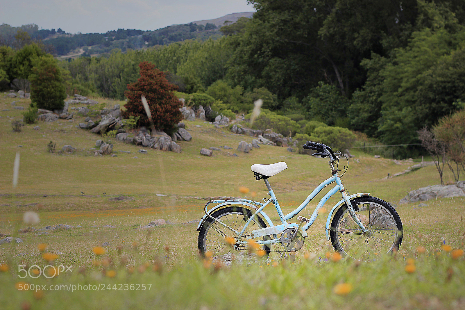 Canon EOS 600D (Rebel EOS T3i / EOS Kiss X5) sample photo. Bcle photography