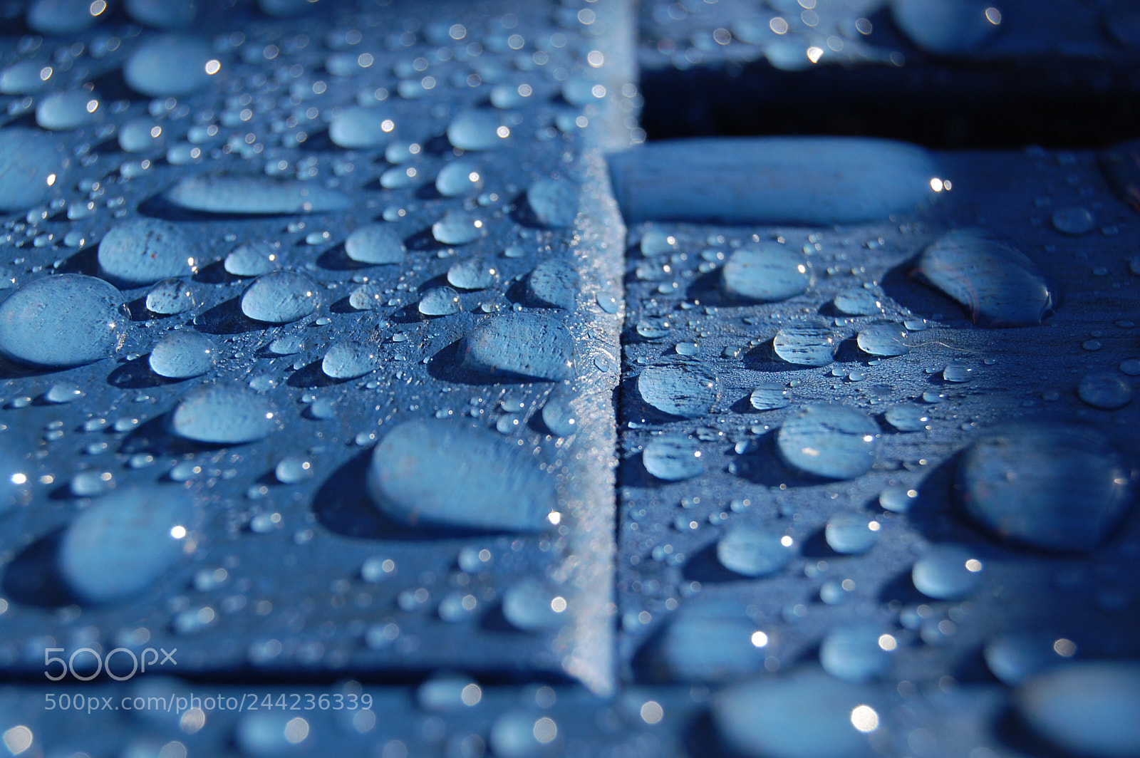 Nikon D40 sample photo. Flikr_2018_1_29_474.jpg photography