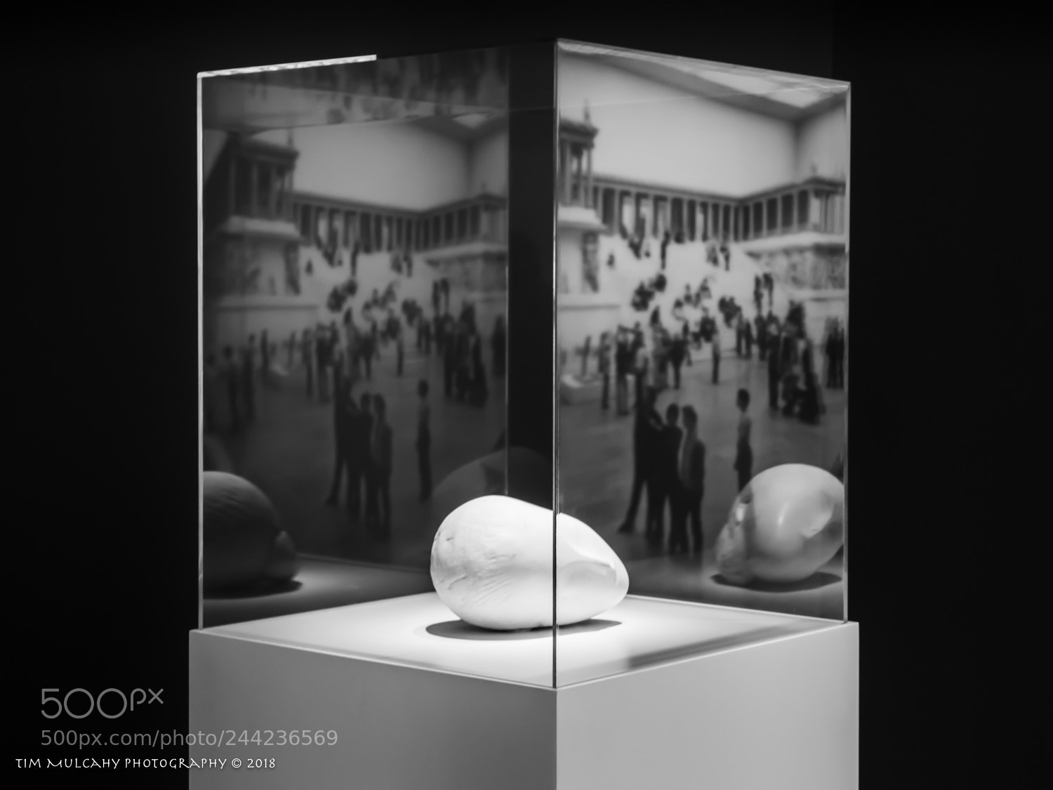 Sony a7R II sample photo. Awaiting the arousal of photography