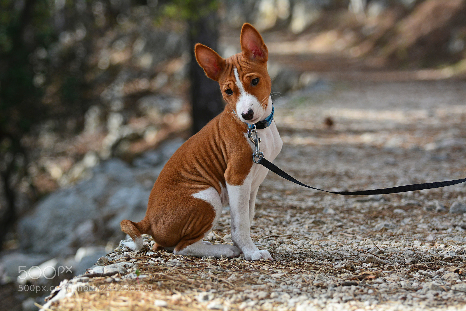 Nikon D7100 sample photo. Fred photography