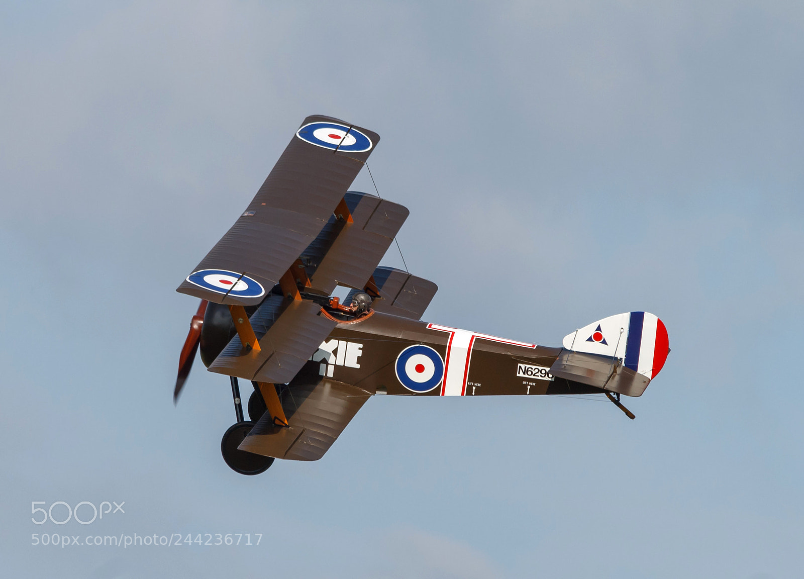 Canon EOS 1100D (EOS Rebel T3 / EOS Kiss X50) sample photo. Sopwith triplane and pilot photography