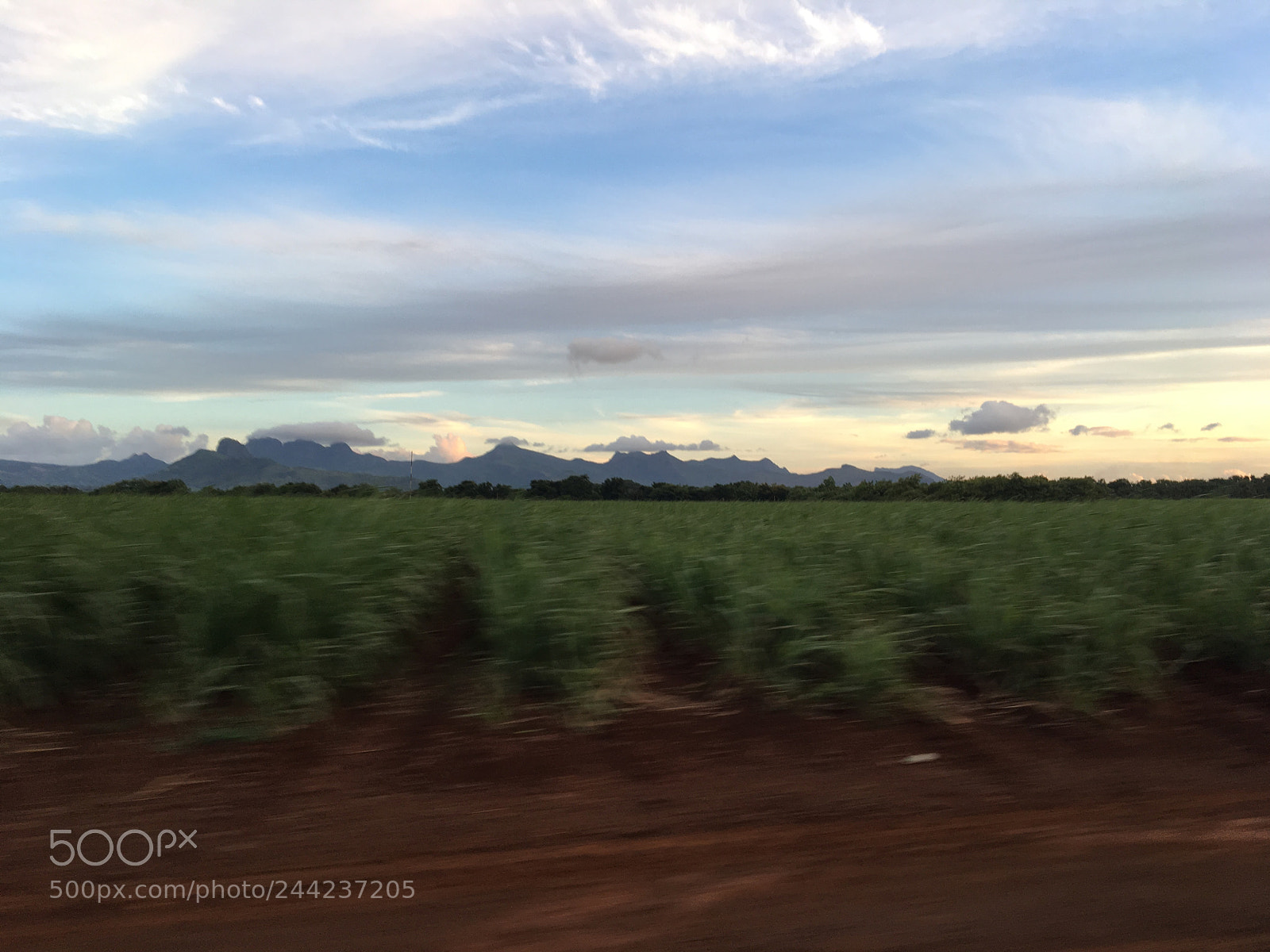 Apple iPhone 6s sample photo. Mauritius photography