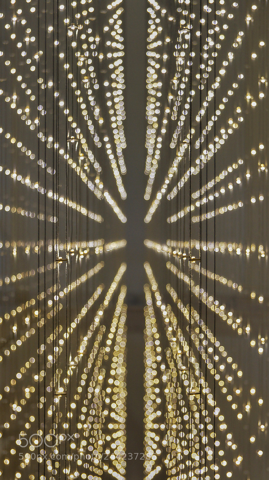 Sony SLT-A57 sample photo. Perfect symmetry photography