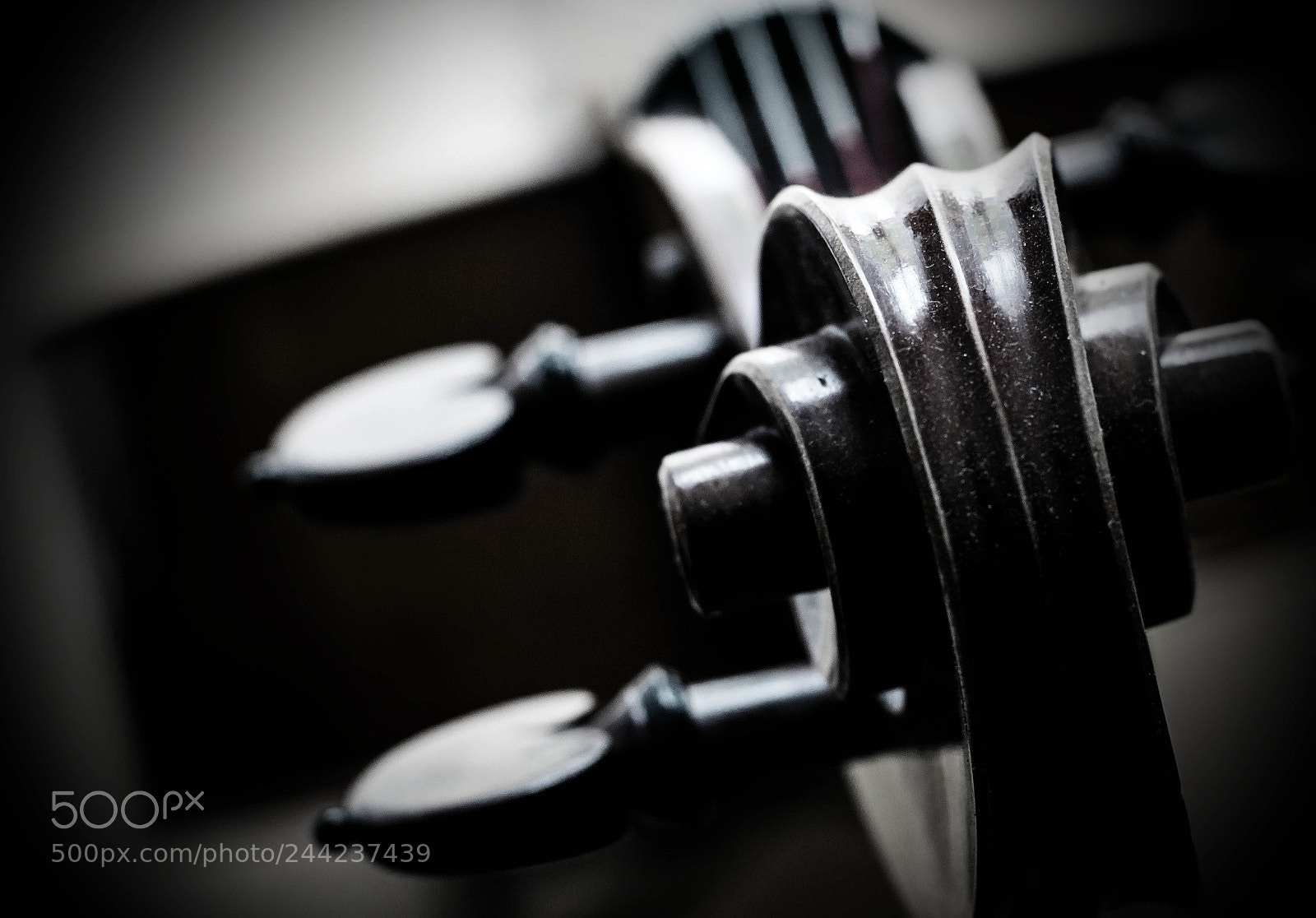 Nikon D800 sample photo. Untitled photography