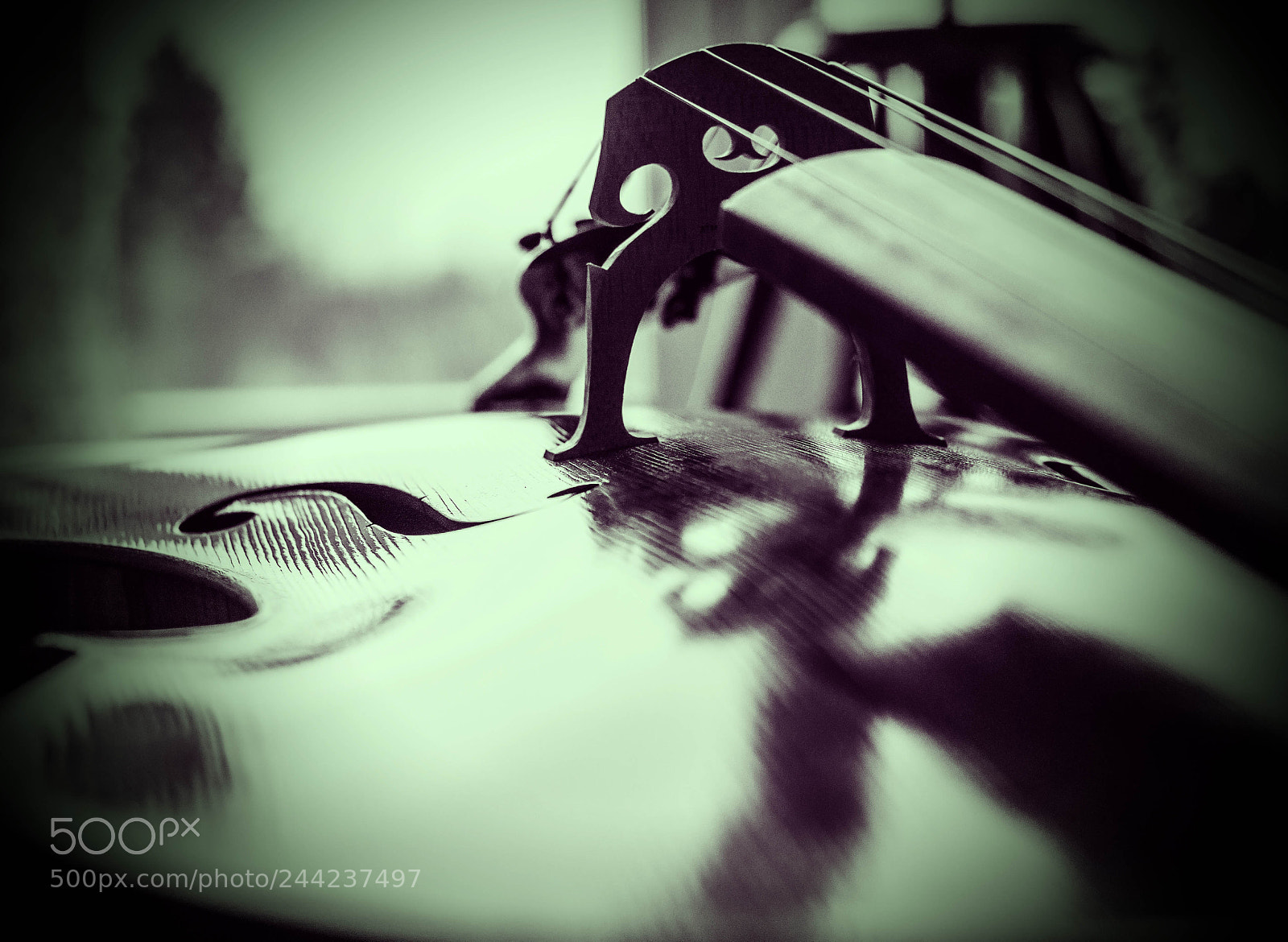 Nikon D800 sample photo. Untitled photography