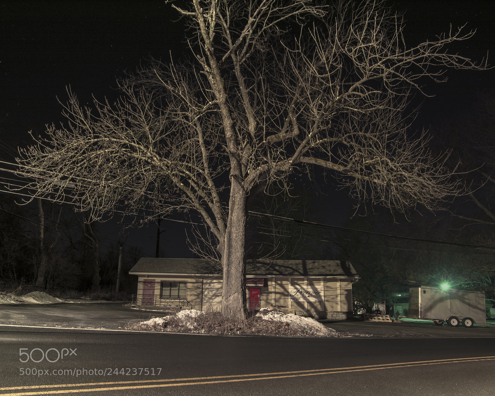 Nikon D7100 sample photo. Big tree little house photography