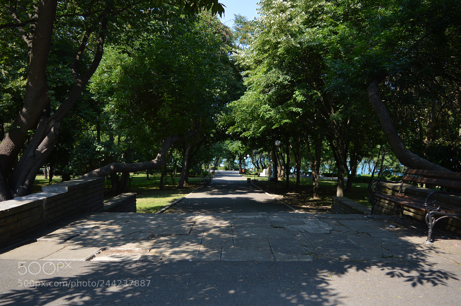 Nikon D3200 sample photo. Just walk trough the photography