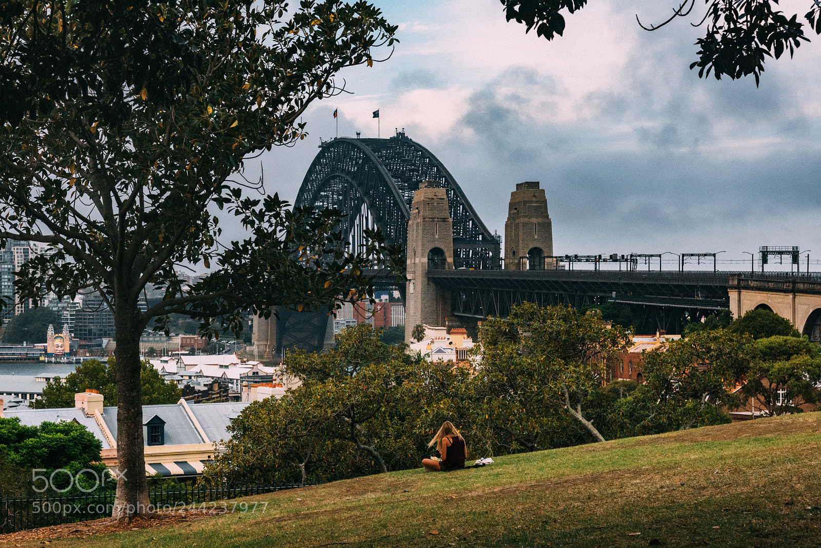 Nikon D810 sample photo. Windmill hill photography