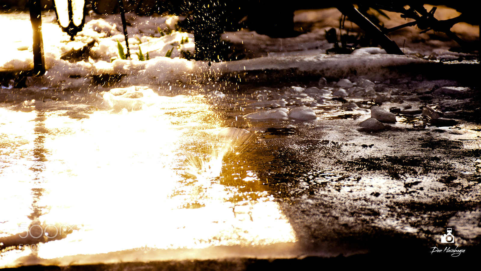 Nikon D7100 sample photo. Dan photography