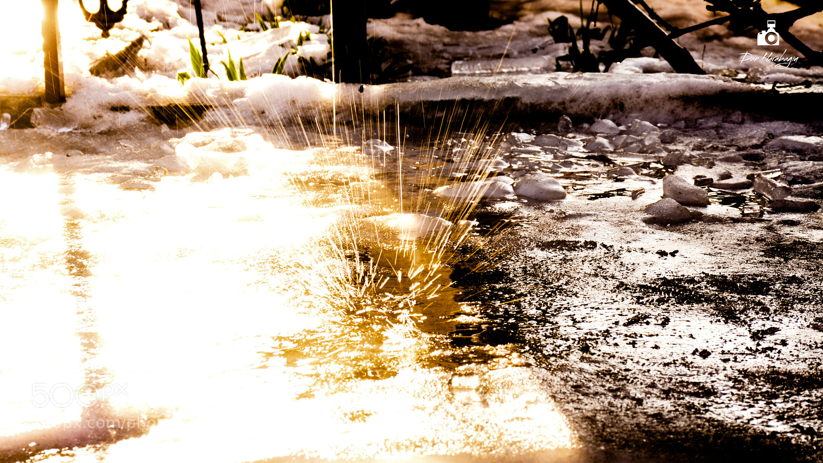 Nikon D7100 sample photo. Dan photography