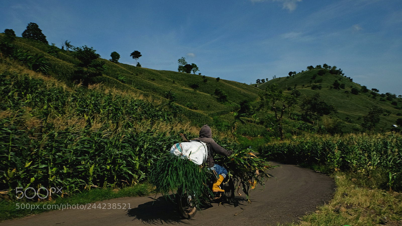 Fujifilm X-T10 sample photo. Harvest photography