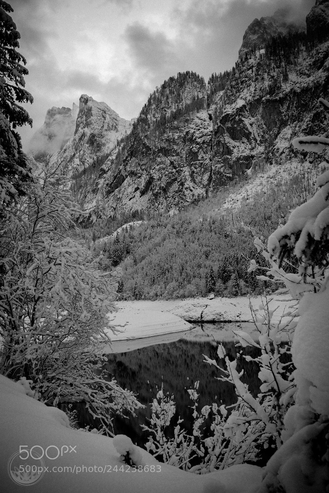 Nikon D7200 sample photo. Gosau lake photography