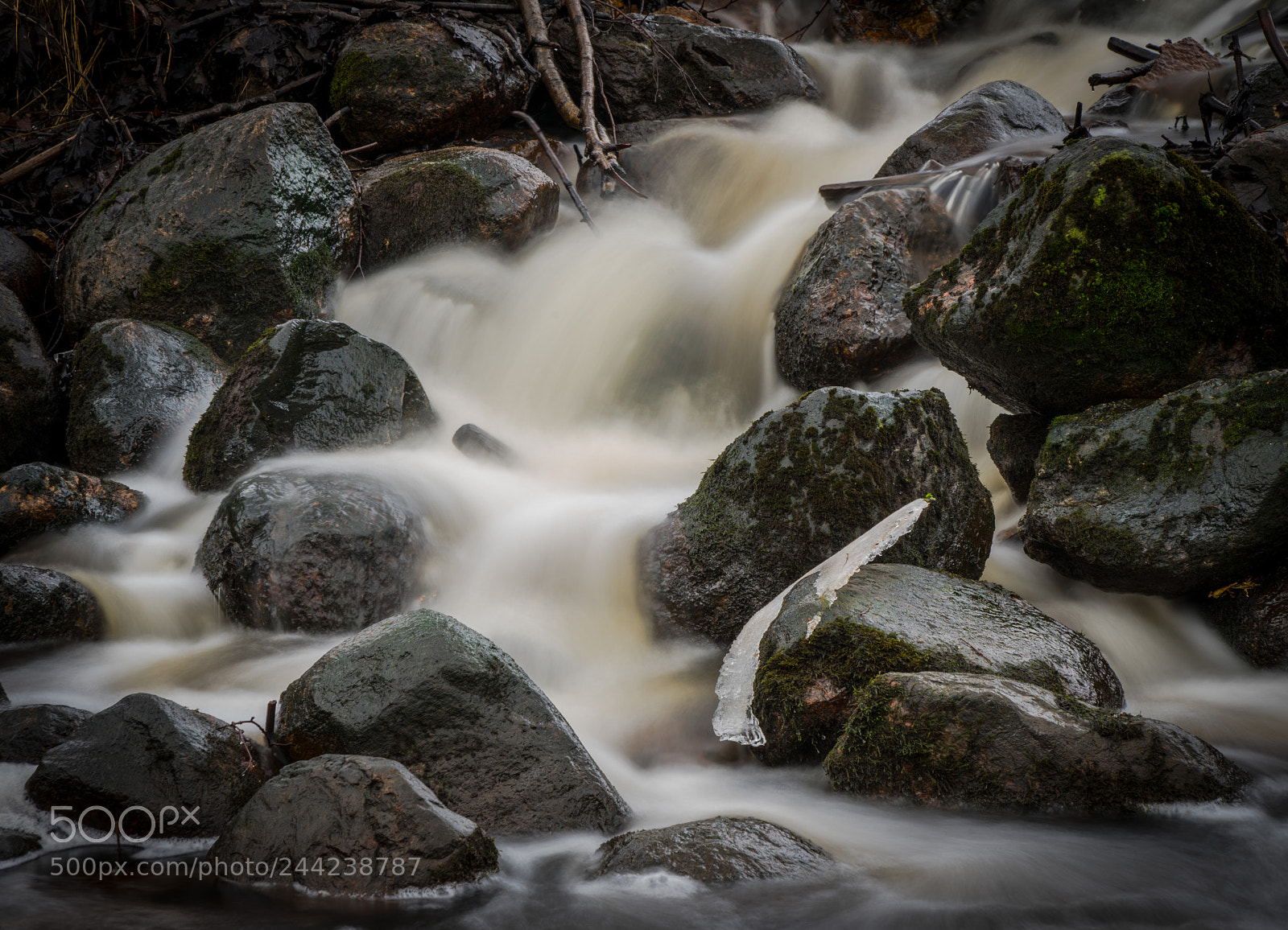 Sony a7R II sample photo. Dsc photography