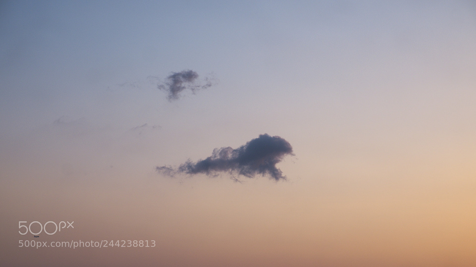 Fujifilm X-E2 sample photo. Airplane and dolphin photography