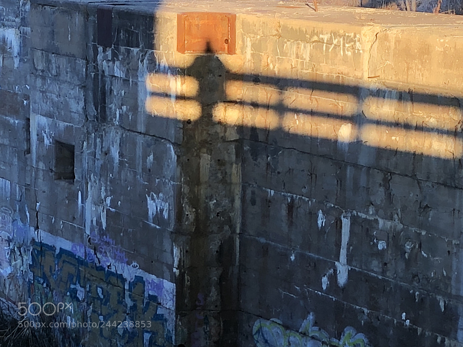 Apple iPhone 8 sample photo. Img photography