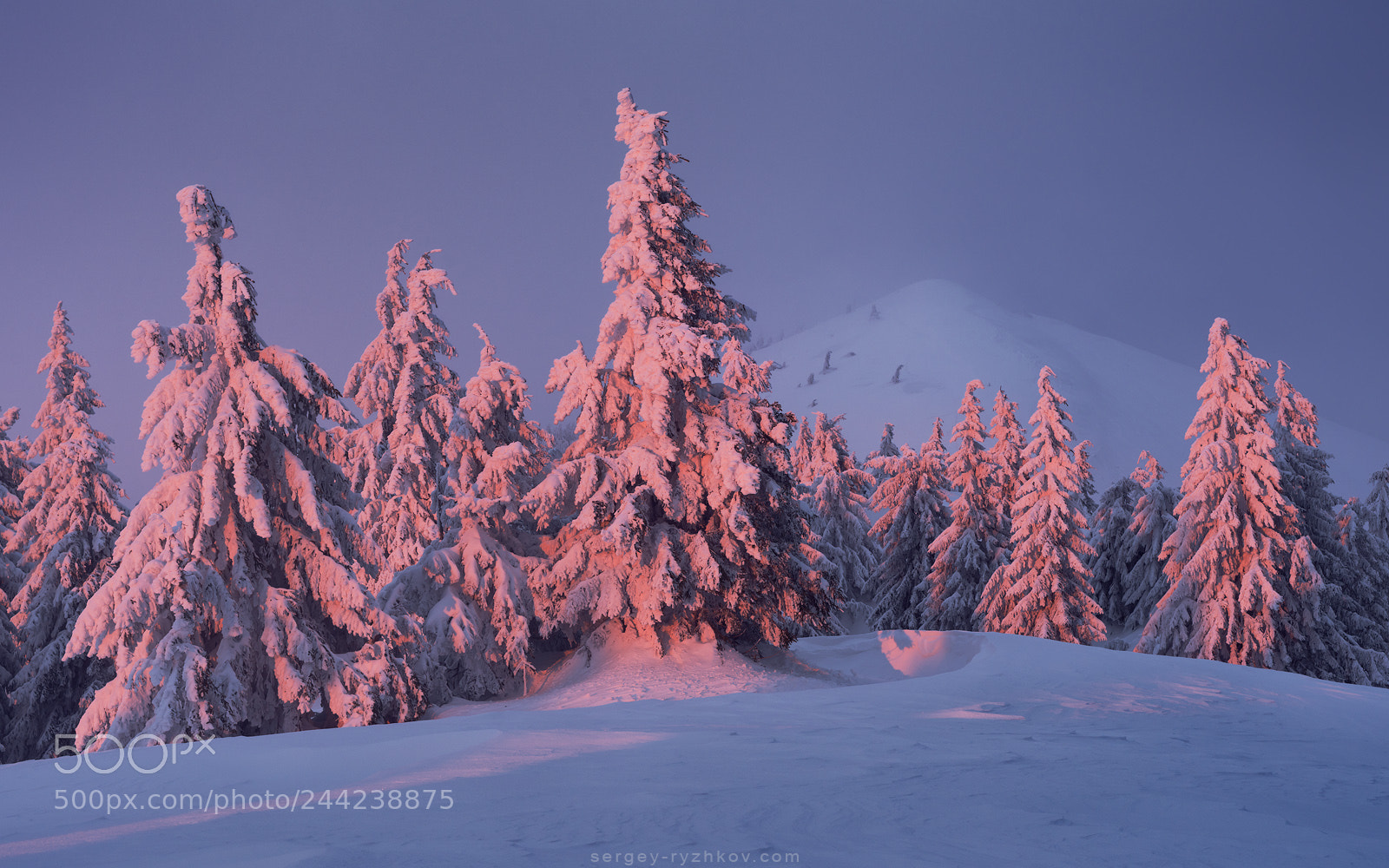 Nikon D800 sample photo. Carpathian winter evening photography