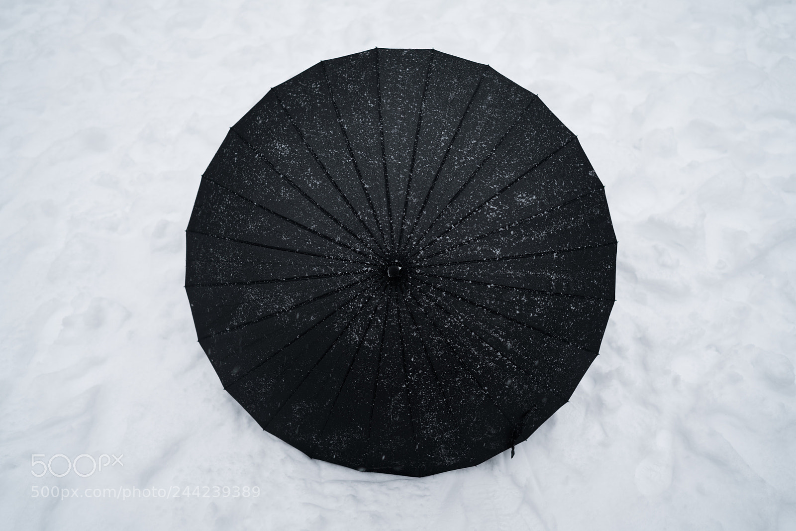 Sony a7R III sample photo. 伞 photography