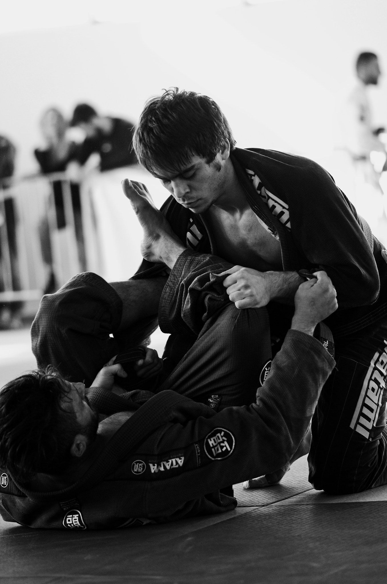 Nikon AF-S Micro-Nikkor 105mm F2.8G IF-ED VR sample photo. Fighters photography