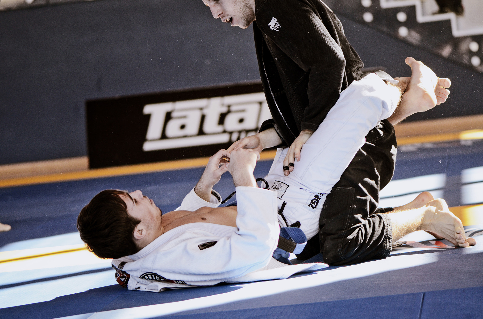 Nikon AF-S Micro-Nikkor 105mm F2.8G IF-ED VR sample photo. Fighters photography