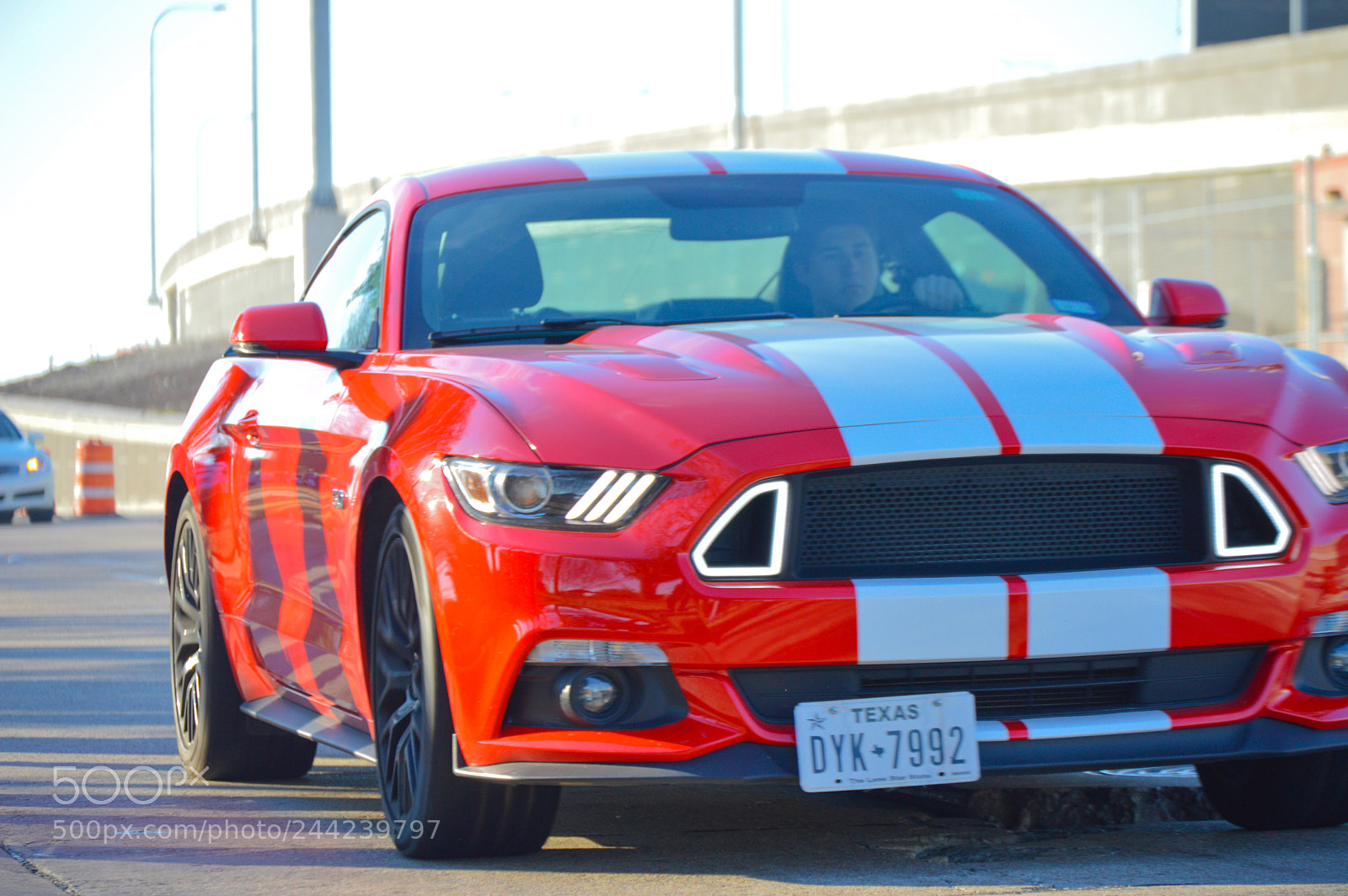 Nikon D3200 sample photo. Red stripes photography
