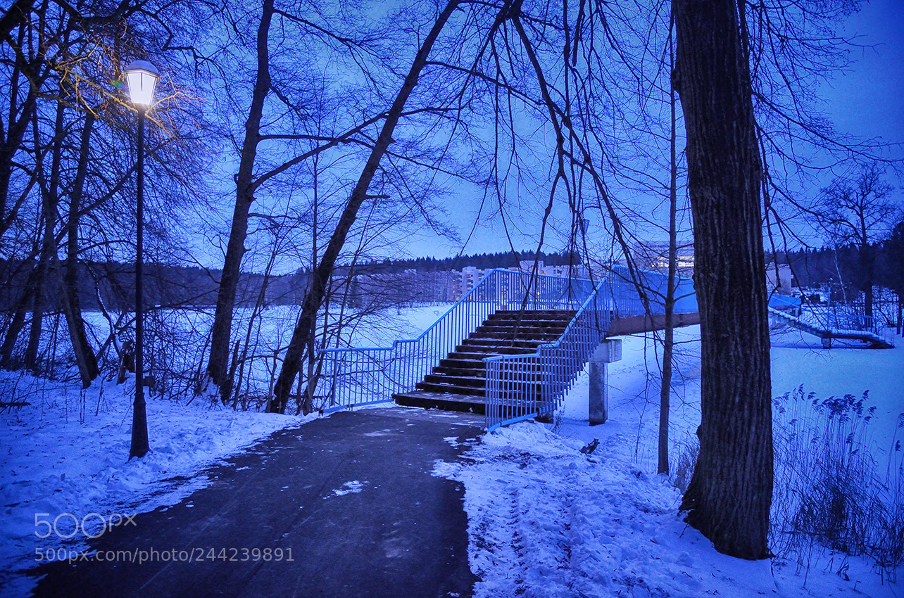 Nikon Df sample photo. Untitled photography