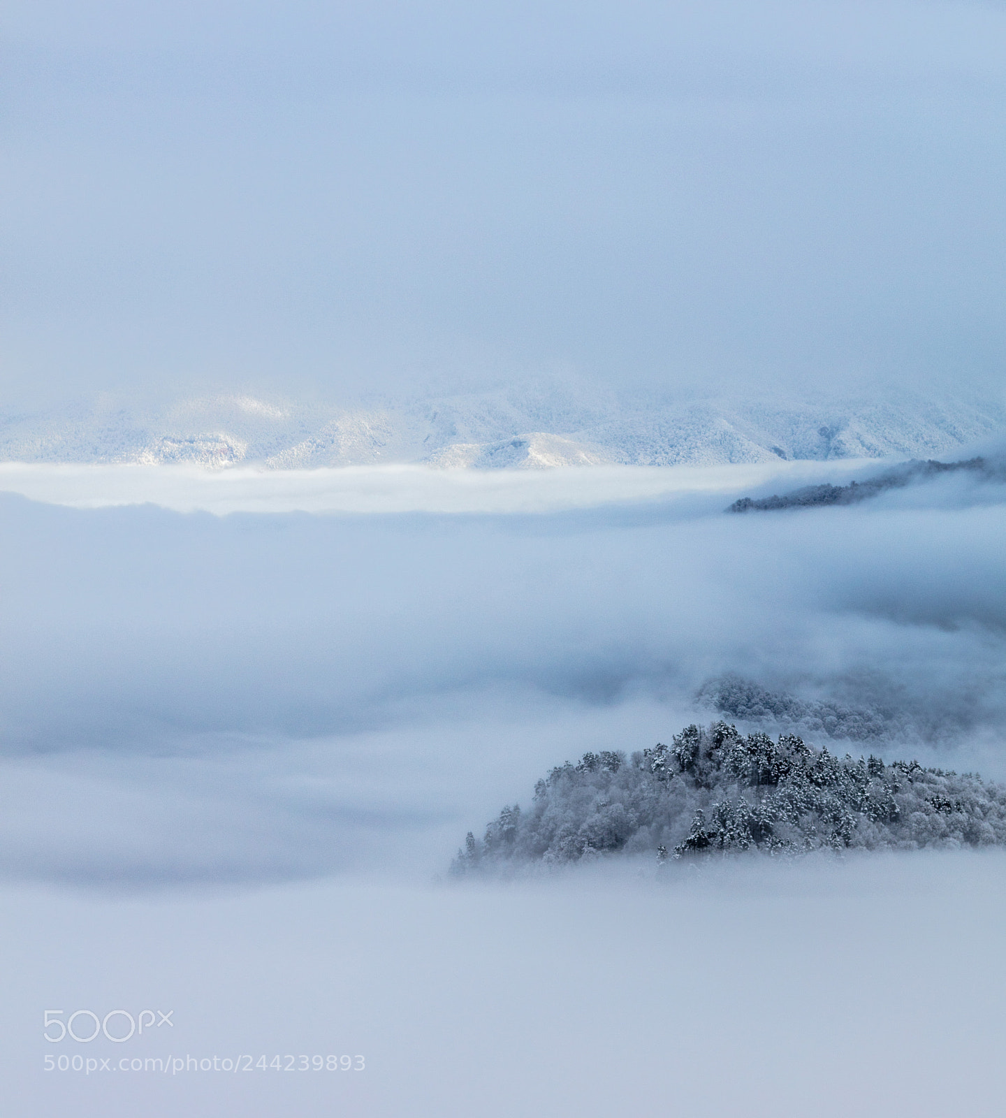 Canon EOS 5DS R sample photo. Foggy sea photography