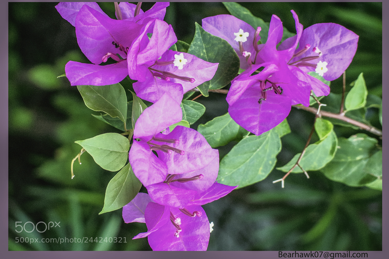 Nikon D7200 sample photo. 128.jpg photography