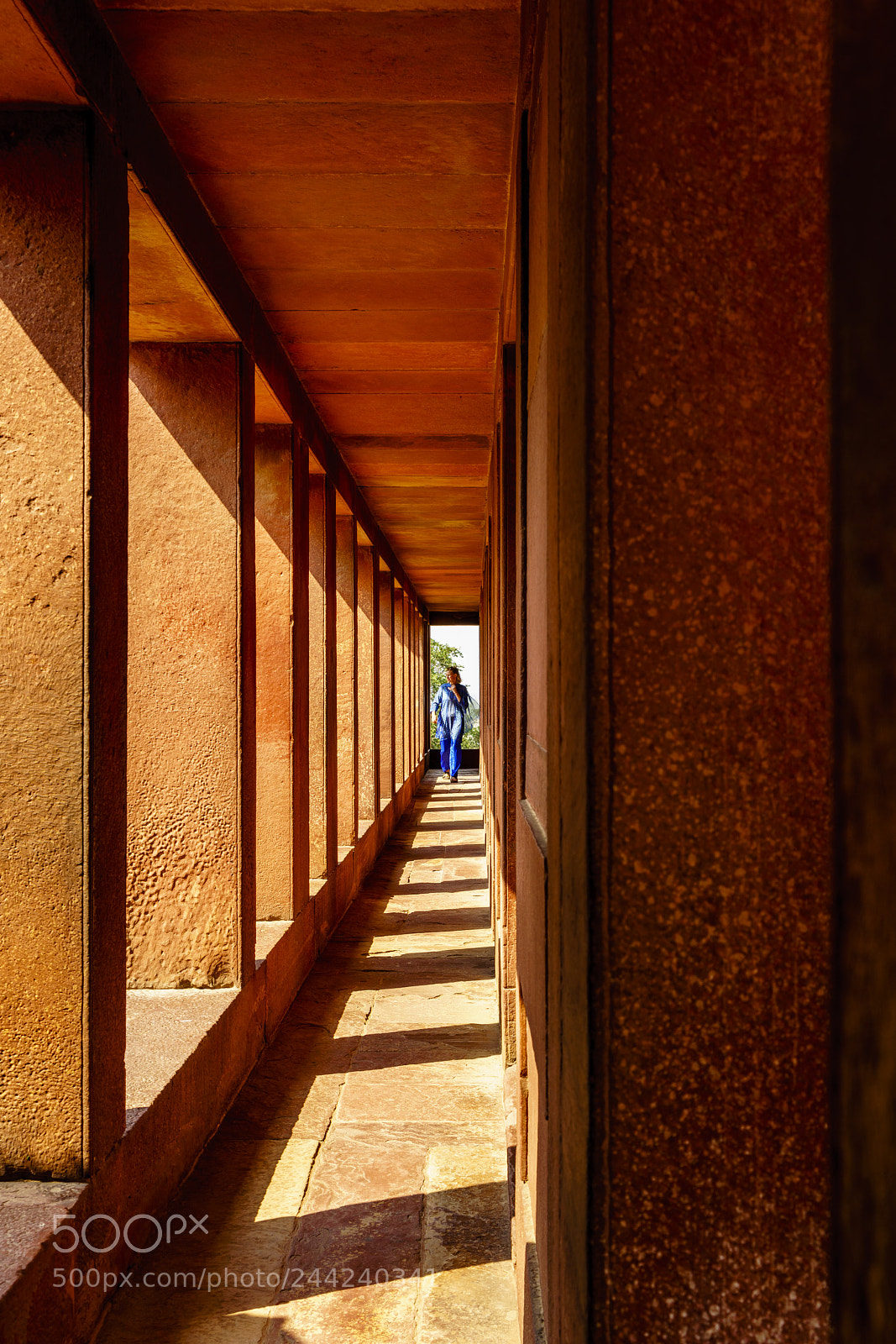 Sony a7R II sample photo. Golden triangle photography