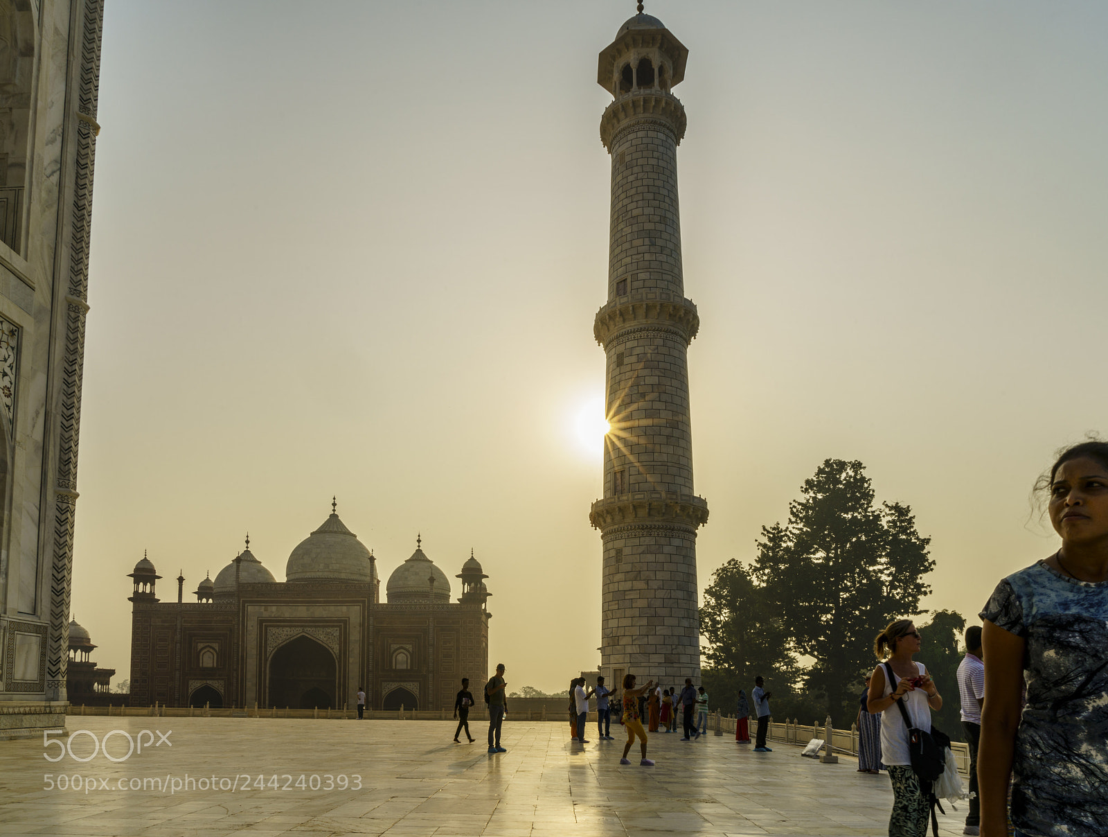 Sony a7R II sample photo. Golden triangle photography