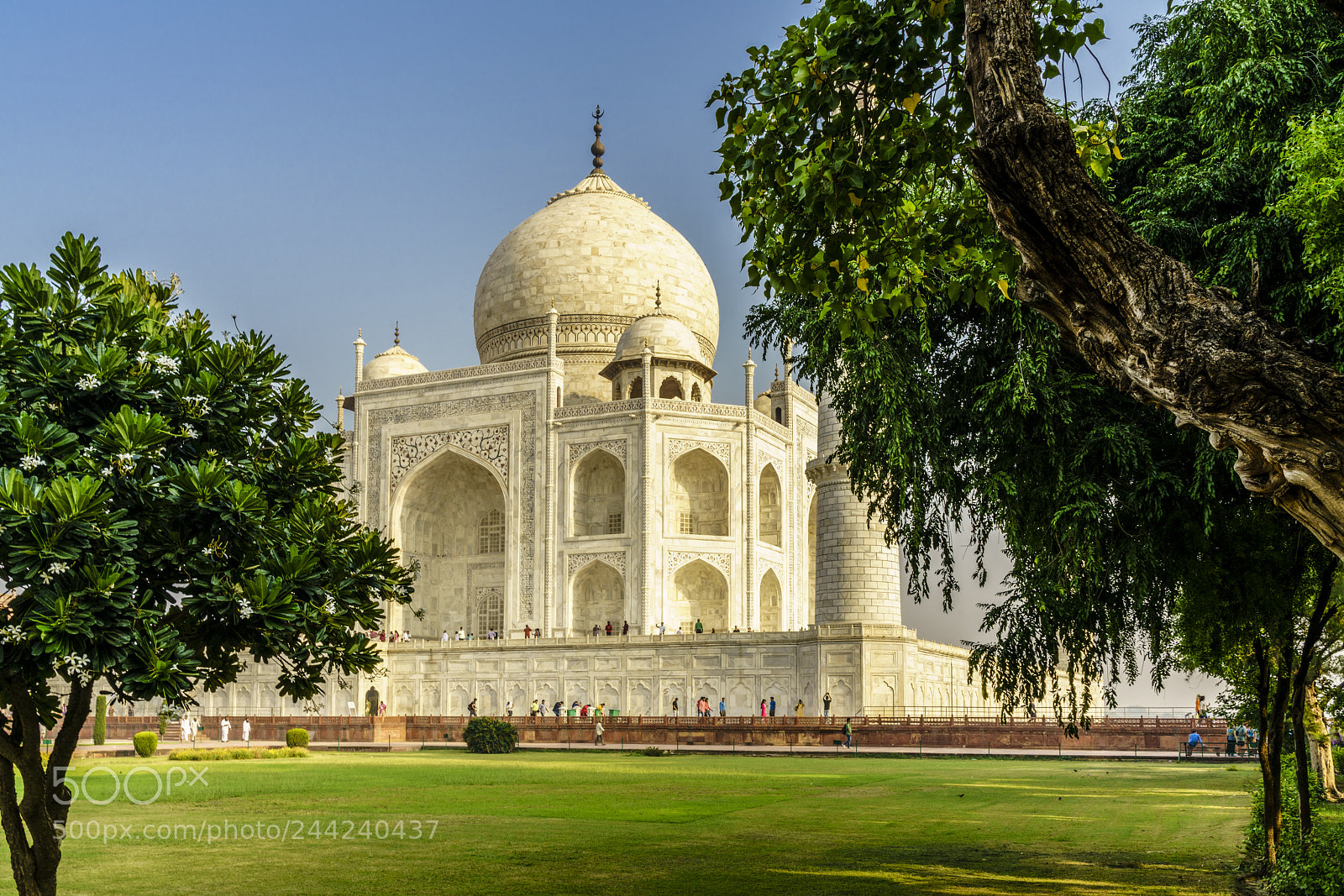 Sony a7R II sample photo. Golden triangle photography